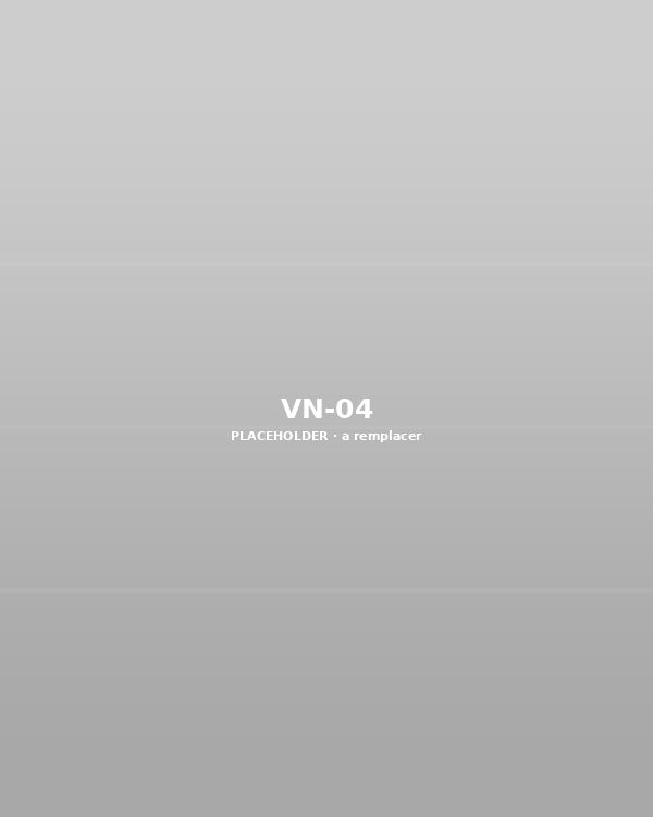 VN-04