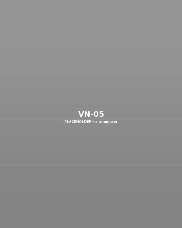 VN-05