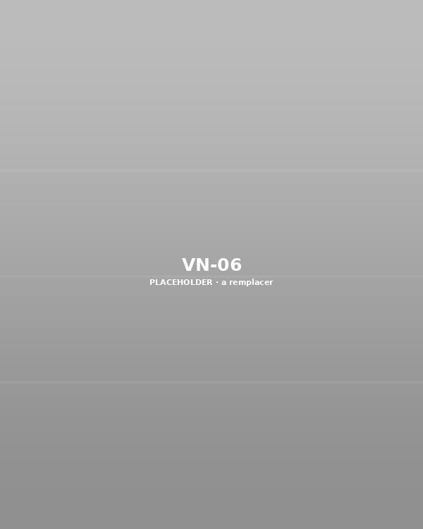 VN-06 — à remplacer
