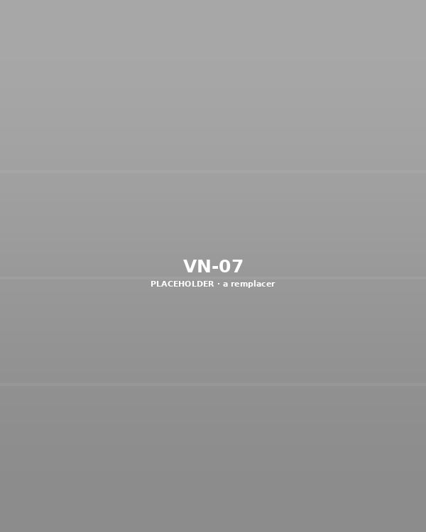 VN-07 — à remplacer