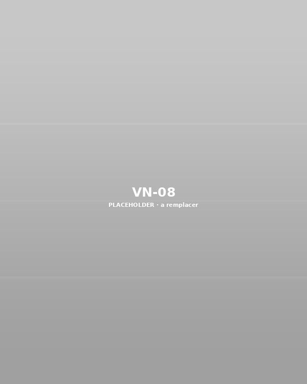 VN-08 — à remplacer
