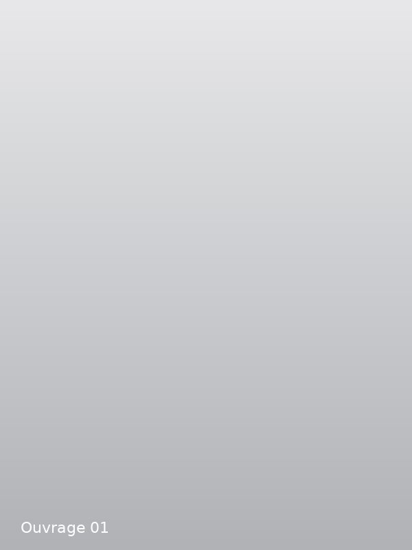 Couverture — ouvrage 01 (à remplacer)
