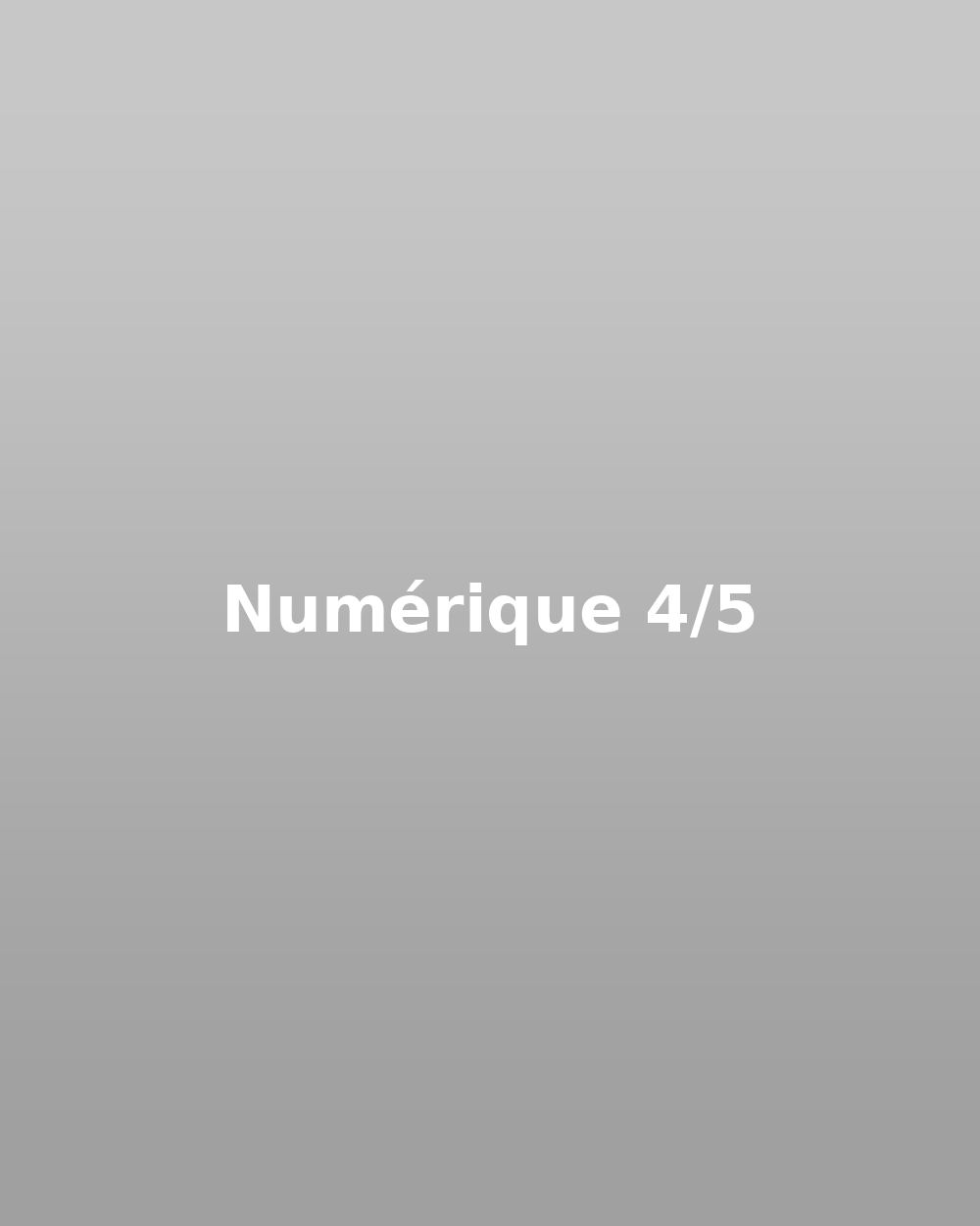 Numérique 04