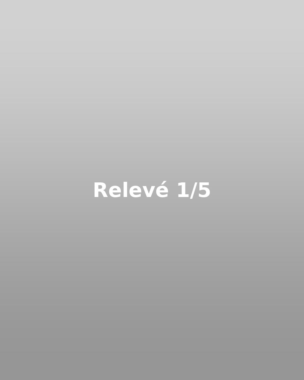 Relevé 01