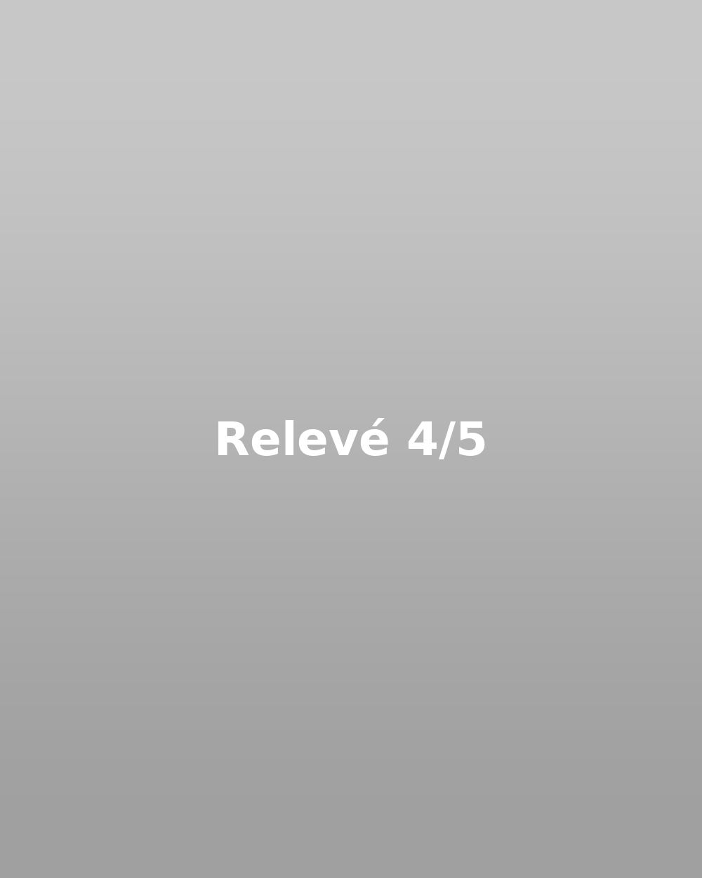 Relevé 04